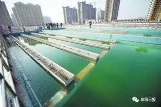 石家庄水厂爆料视频大全,揭露水质问题背后的真相  第2张